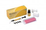 COFFRET BEAUTISEALANT SHOFU